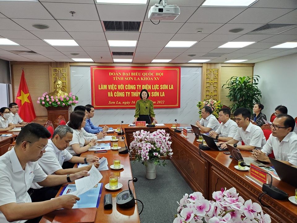 Tin truyền hình: Đoàn đại biểu Quốc hội làm việc với Công ty Điện lực Sơn La, và Công ty Thuỷ điện Sơn La